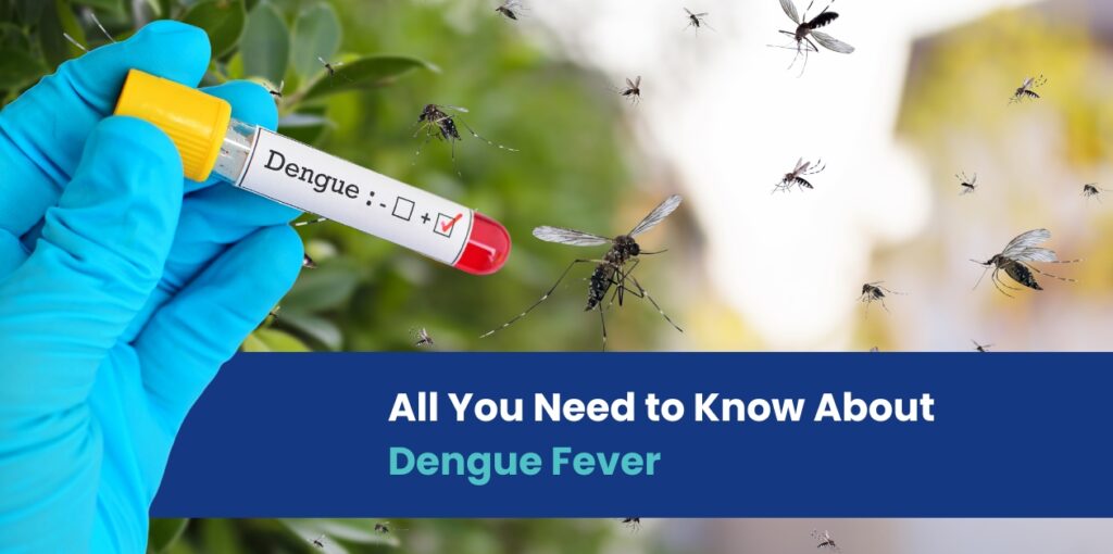 All You Need to Know About Dengue Fever Symptoms of dengue fever, Treatment, and Prevention