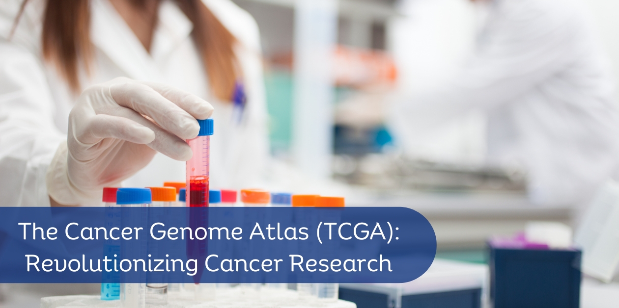 The Cancer Genome Atlas (TCGA)